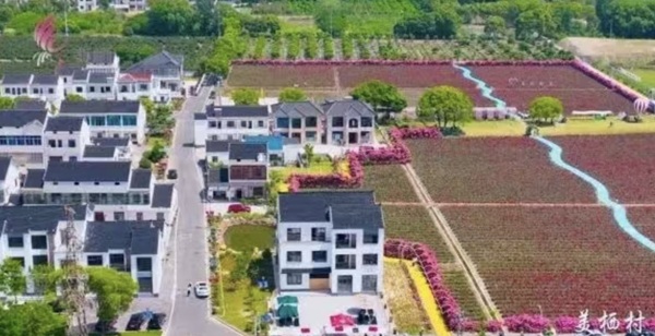 江苏宜兴市徐舍镇美栖村：用国潮风为“花事业”增色