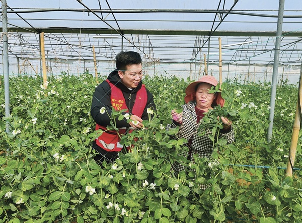 微信截图_20250514151550.png