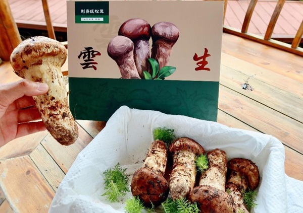 微信截图_20250529100126.png