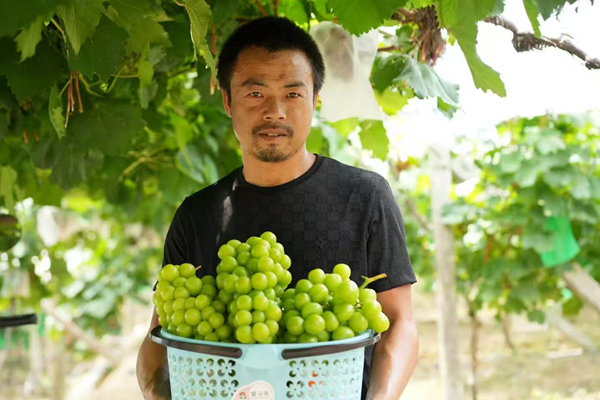 图片5.png