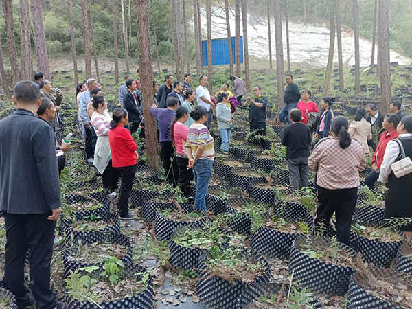 20250714175246402499.jpg 邀请农科院专家给群众培训黄精种植技术.jpg