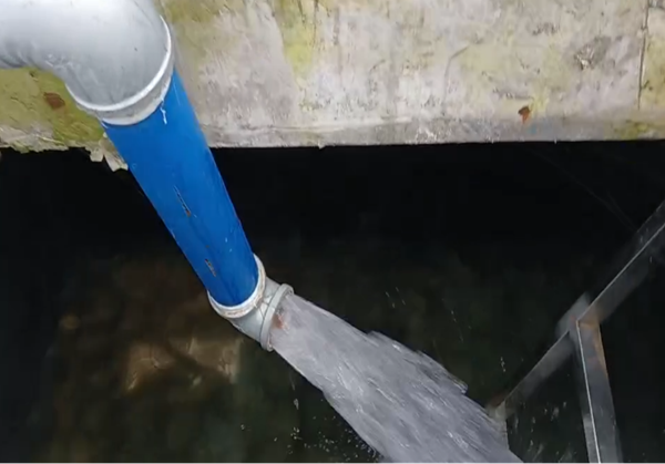20250811175489339181.png 图片7.png