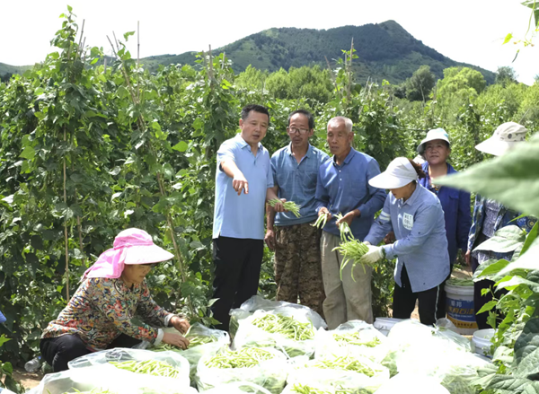 wechat_2025-08-23_233140_098.png