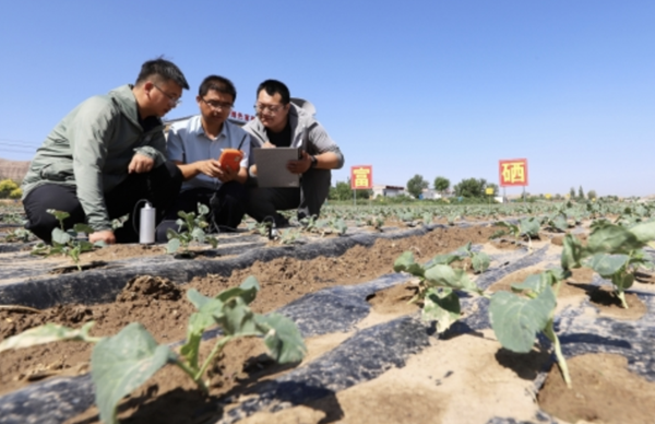 wechat_2025-08-30_200157_036.png