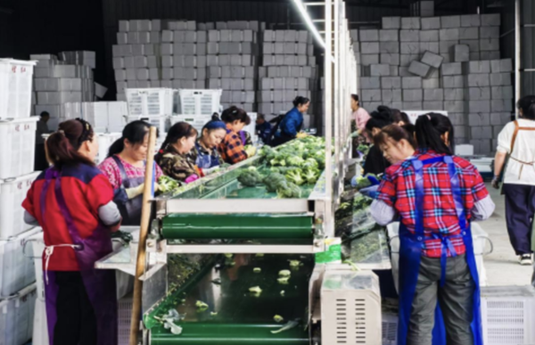 wechat_2025-08-30_200208_110.png