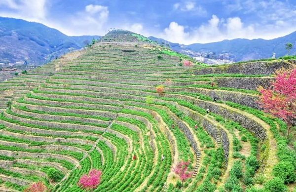 20250830175655872710.png wechat_2025-08-30_204830_044.png