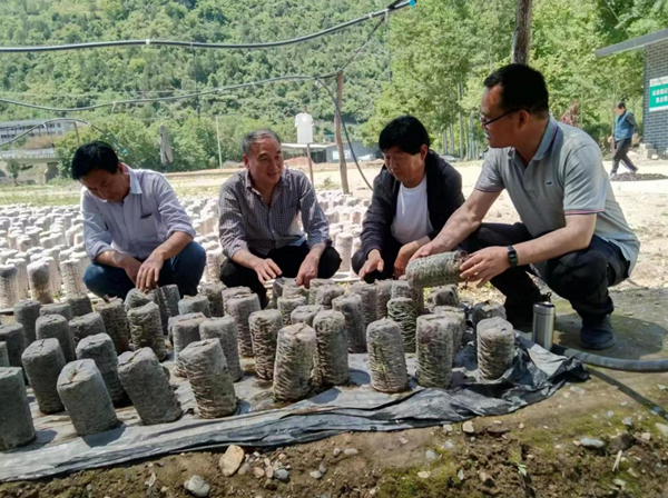 20250830175655985341.png wechat_2025-08-30_210658_255.png