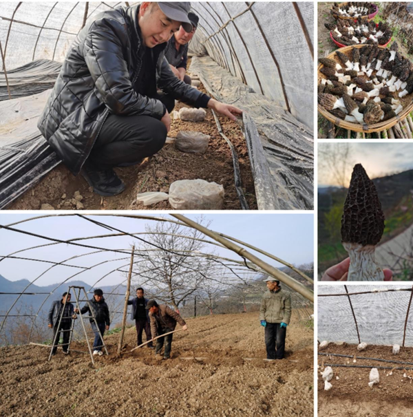 20250830175655987982.png wechat_2025-08-30_210713_709.png