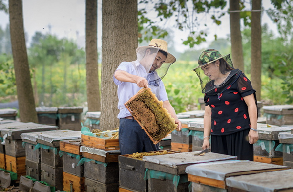 20250915175793478013.png wechat_2025-09-15_190515_944.png