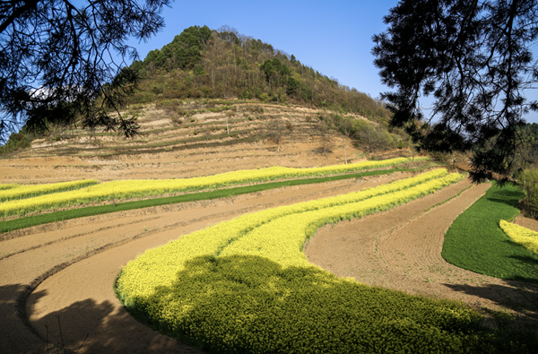 20250915175793479573.png wechat_2025-09-15_190555_678.png