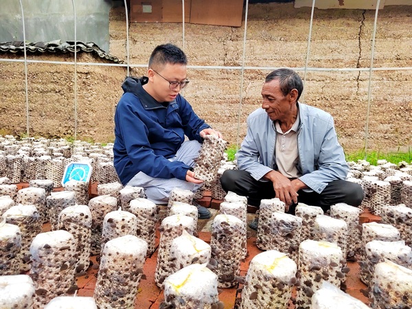 20250915175793656058.jpg 博南镇综合保障和技术服务中心主任袁斌 (左)授技于高云标.jpg