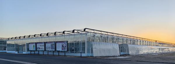 内蒙古宁城：数字种苗工厂带动设施农业提质增效