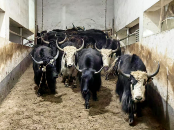 20250929175911964177.png wechat_2025-09-29_121243_264.png