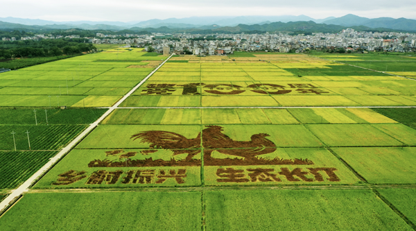 20250930175920437567.png wechat_2025-09-30_093931_832.png