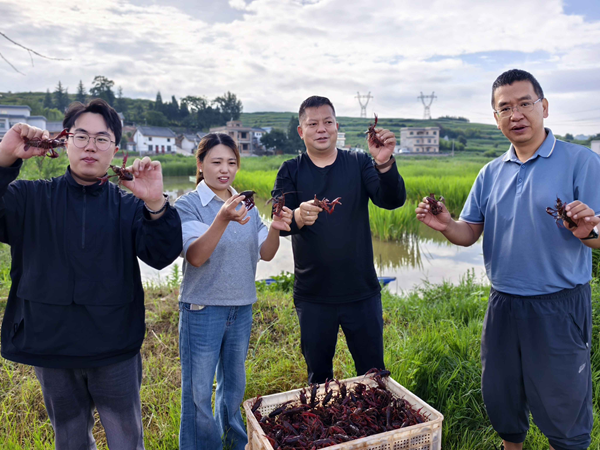 20251010176009486718.png 图片2.png