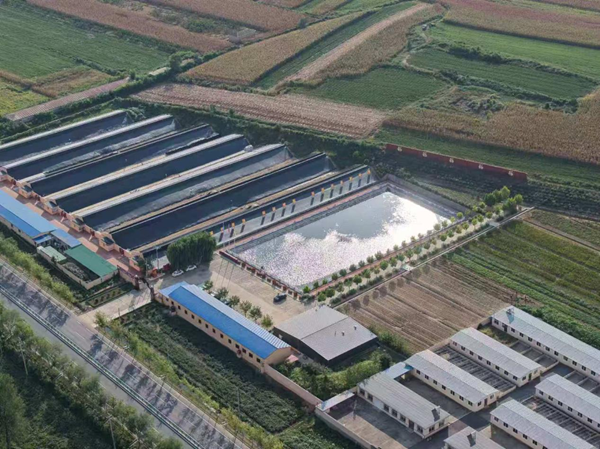 赵爱民：乡村振兴浪潮起，乡土英才绘新篇