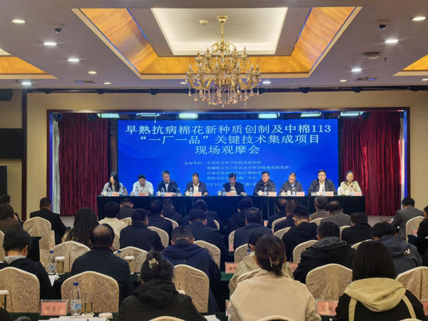 甘肃为中国棉花发展贡献科技新力量