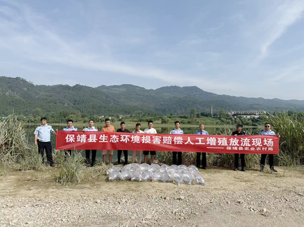 20251028176162983568.png 图片5.png