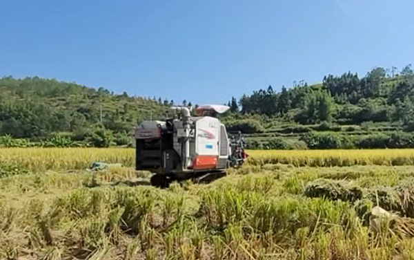 从戎装到稻浪：刘海燕与海燕农业的乡村振兴之路