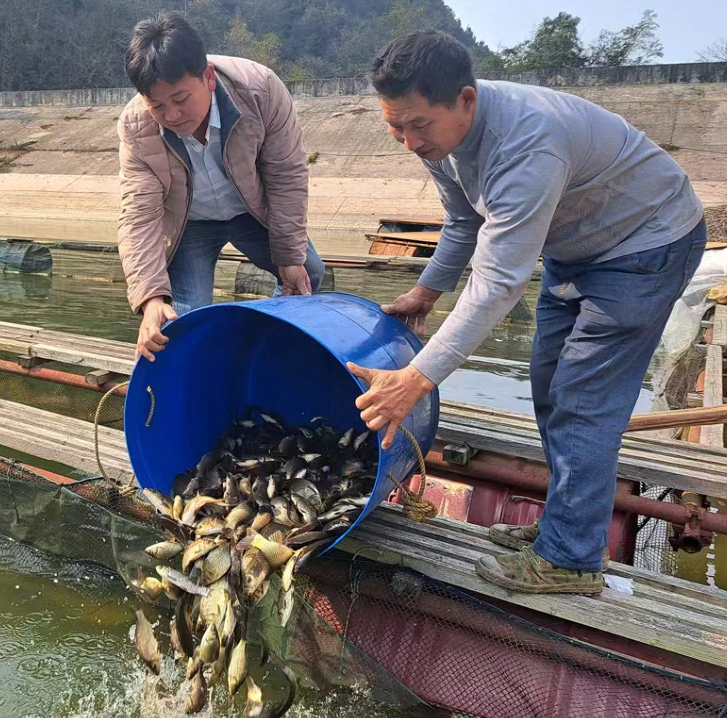 20251101176196684278.png 1111111111.png