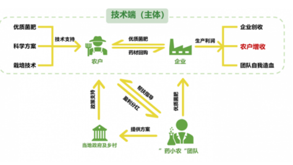 构建“四端联动”服务模式，“药小农”团队探索乡村振兴新路径