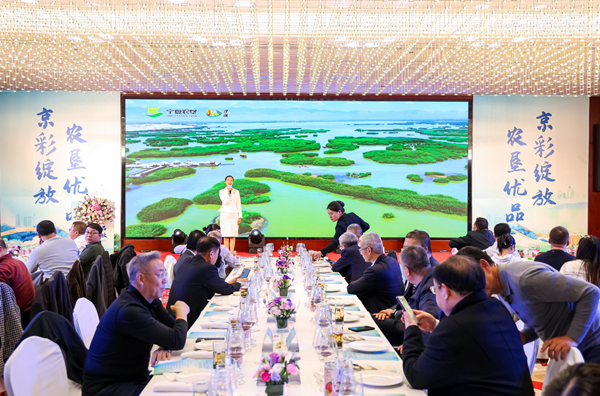 2025投资宁夏暨宁夏农垦商农文旅北京推介活动成功举办