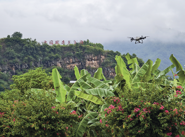 20251104176225283135.png wechat_2025-11-04_161253_731.png