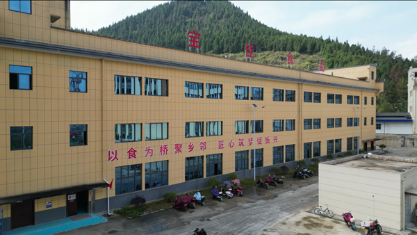 以食为桥聚乡邻 匠心筑梦促振兴——杨丹与“湘小串”的乡村振兴之路