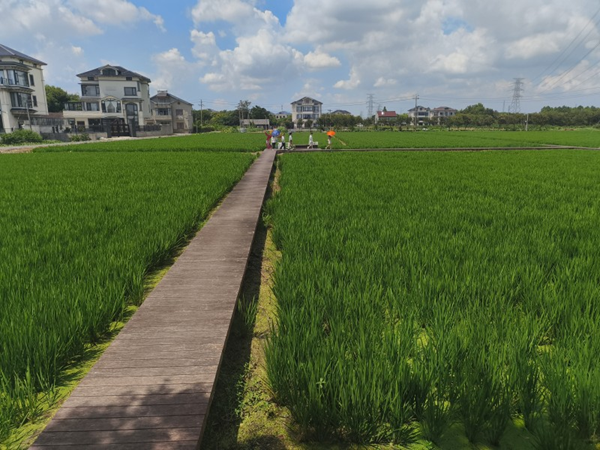 20251105176234413818.png 图片13.png