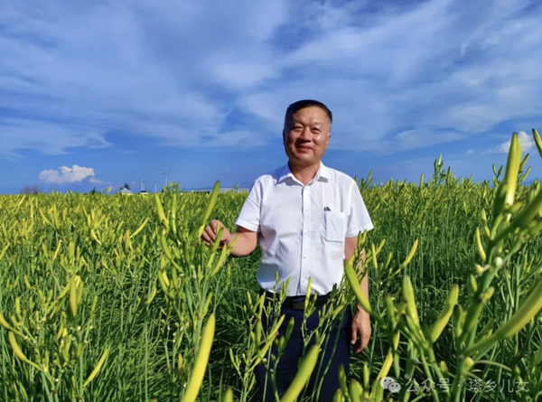 梁 全：黄花田里的“耕耘者”