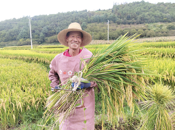 20251118176343125110.png ScreenShot_2025-11-18_095625_095.png