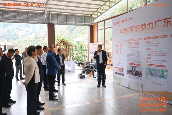 中国平安：四向发力 赋能 450 个百千万工程助广东乡村振兴