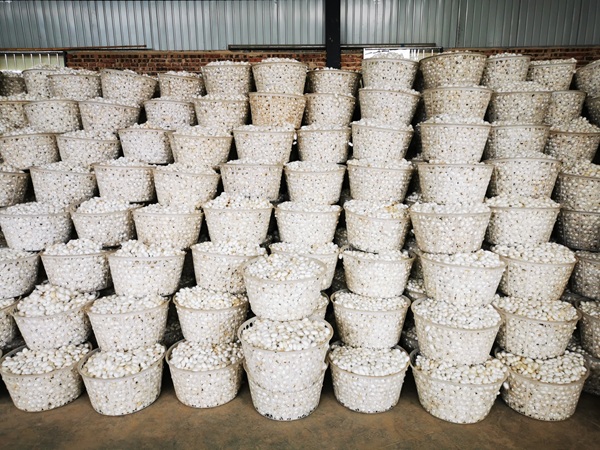 20251215176576877419.jpg 微信图片_20251213172203.jpg