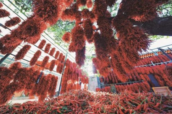 20251215176578690682.png ScreenShot_2025-12-15_161957_319.png