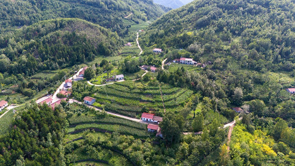 秦巴山区：党建引领“三治融合” 铺就乡村善治之路