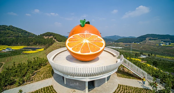 20260107176779301389.jpg 微信图片_20260107212442_1151_942.jpg