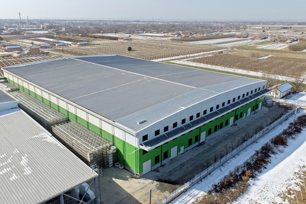 5000吨机械库升级气调库、正洋苹果包装车间 (2).JPG