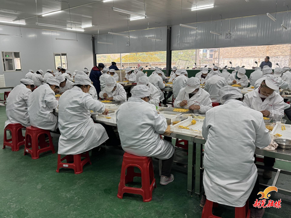 新质生产力恰似“一陂春水”润基层