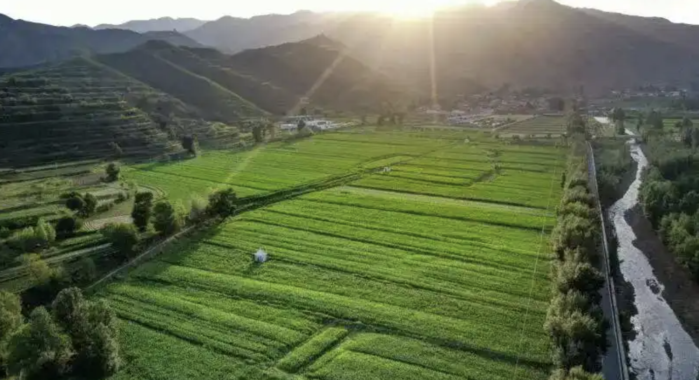 看，大泉山又变了样子