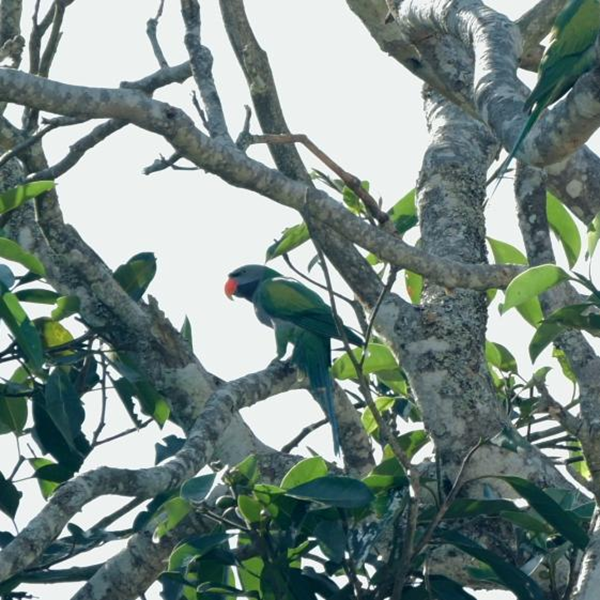 20260127176948067217.png 图片1.png