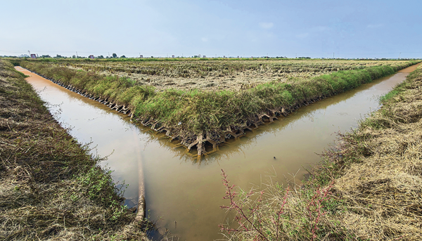 改田提质守粮安 兴农富民惠赣北
