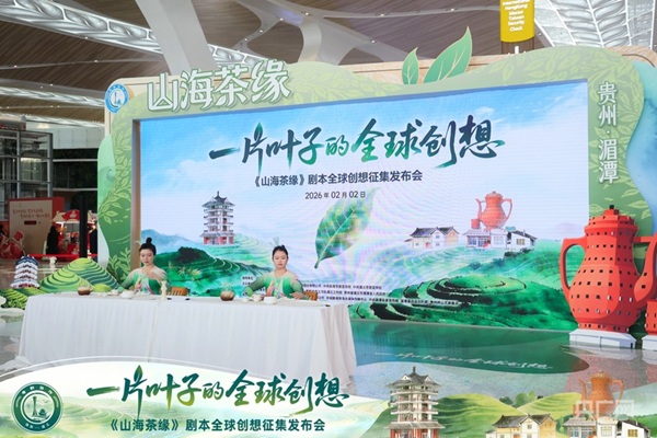 20260203177006963434.jpg c3930b5a49593177001290747346920411.jpg