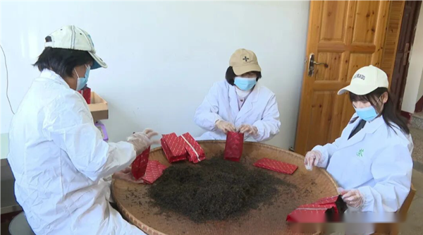 20260203177009340834.png 图片2.png