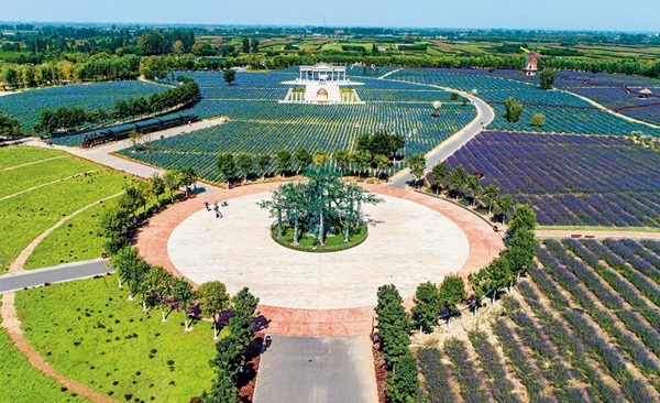 河北保定：农文旅融合发展让乡村成“好吃好看好玩”乐土