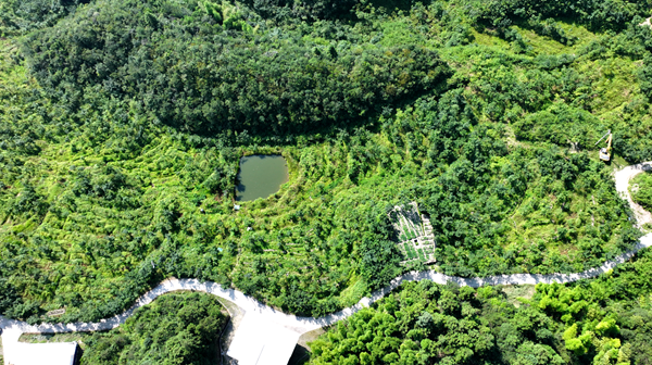 20260210177073052531.png 图片6.png