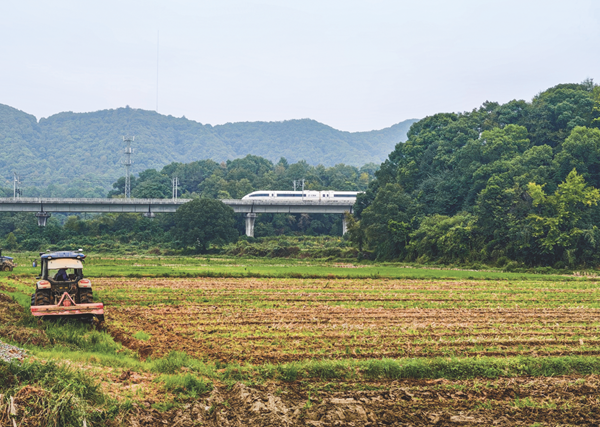 乡村振兴 法治先行——乡村振兴促进法6月1日实施