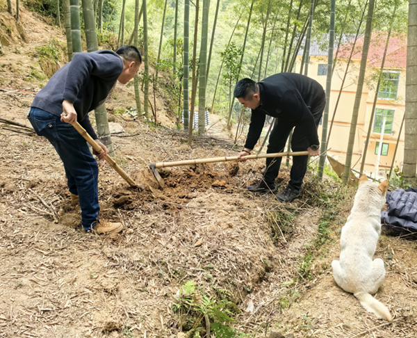 竹林深处的除夕——记一名深圳帮扶干部的春节日常