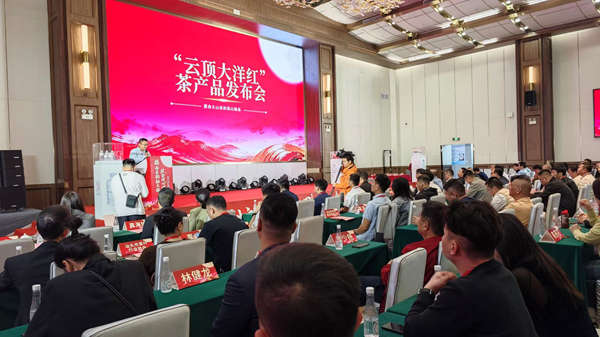 广东揭西县：茶韵融文旅  振兴新活力