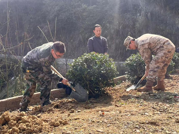 湖南新晃林冲镇：植绿添绿美环境 植树造林助振兴