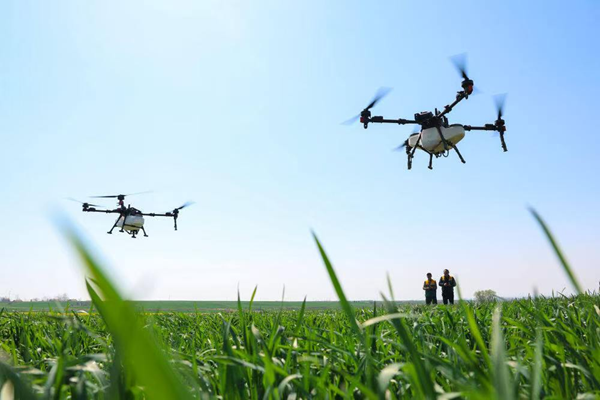 AI向乡而行：让智能技术扎根基层沃土的实践思辨